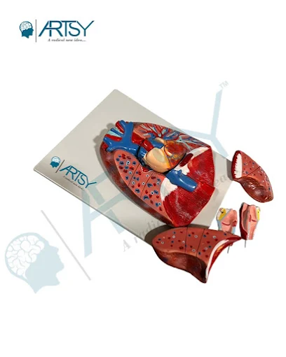 Are Customers Really Influenced by Film Stars in t...