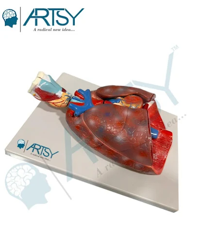 Are Customers Really Influenced by Film Stars in t...